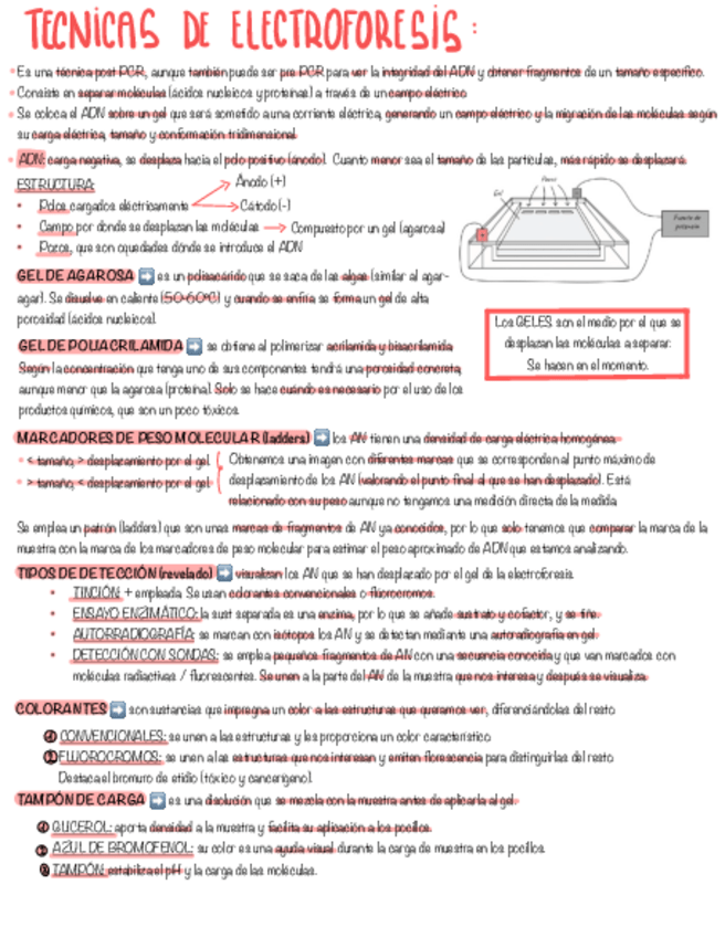 Miniatura del documento TEMA-15-BM.pdf