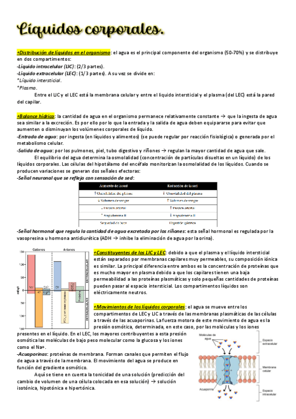 Miniatura del documento 23.pdf
