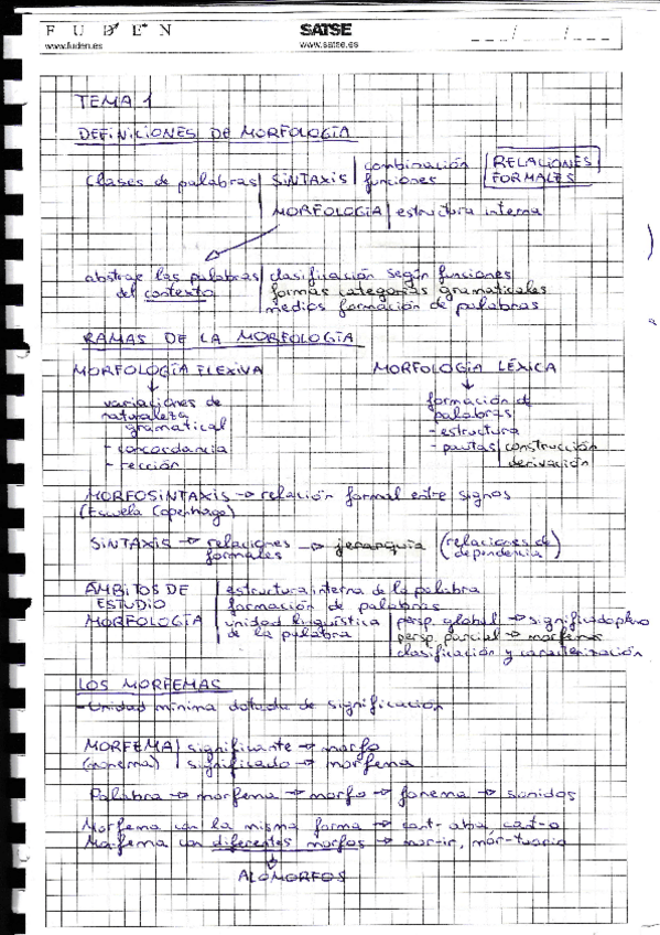 Miniatura del documento Esquemas de Morfología.pdf