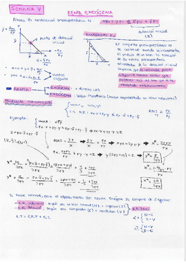 Miniatura del documento T.-5-y-6-micro.pdf