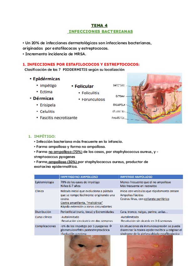 Miniatura del documento TEMA-4-derma.pdf