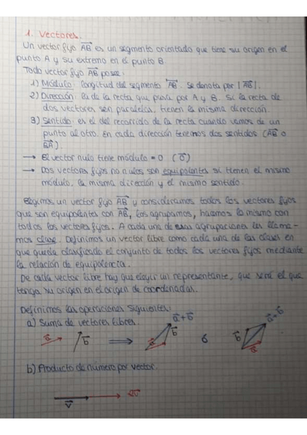 Miniatura del documento Geometria-analitica.pdf