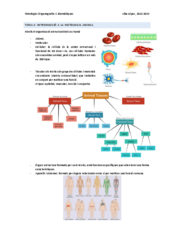 Miniatura del documento TEMARI-PARCIAL-HISTOLOGIA.pdf