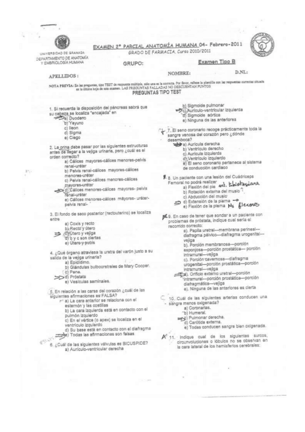Miniatura del documento Anotomia e histologia EXAMENES.pdf