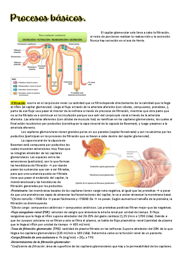 Miniatura del documento 25.pdf