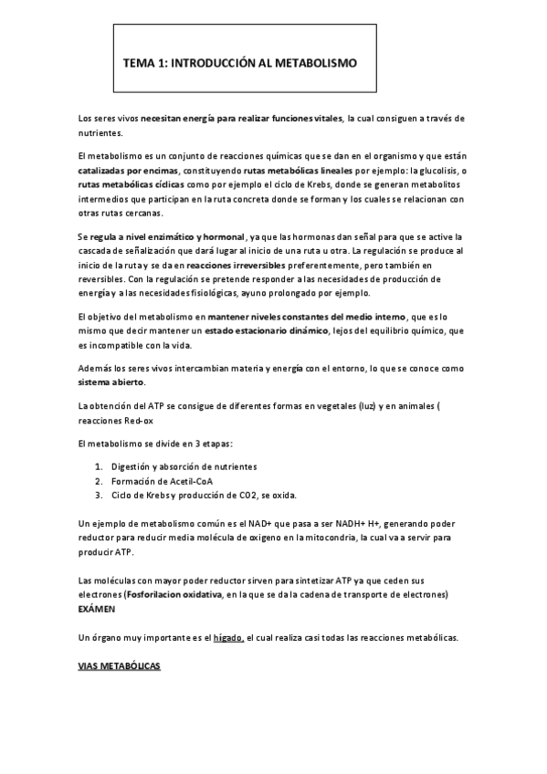 Miniatura del documento bqm faus y tortosa completo.pdf