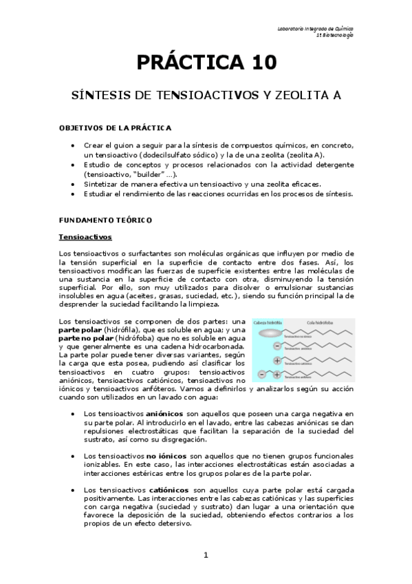 Miniatura del documento Guion-P10.pdf