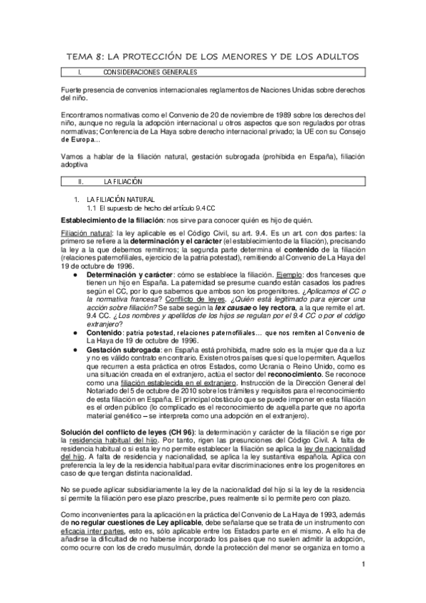 Miniatura del documento TEMA-8-PROTECCION-DEL-MENOR.pdf