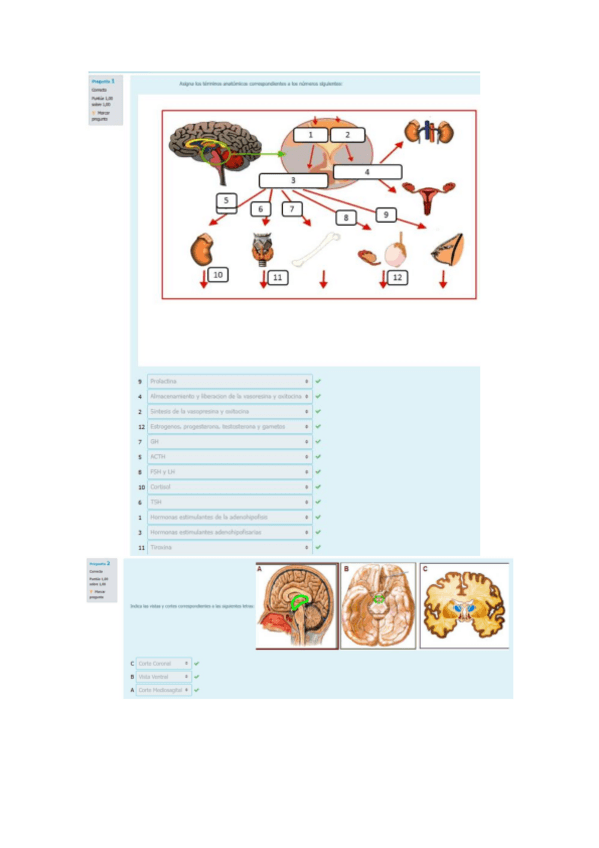 Miniatura del documento EXAMEN BLOQUE 2 F. PSICOBIOLOGÍA II.pdf