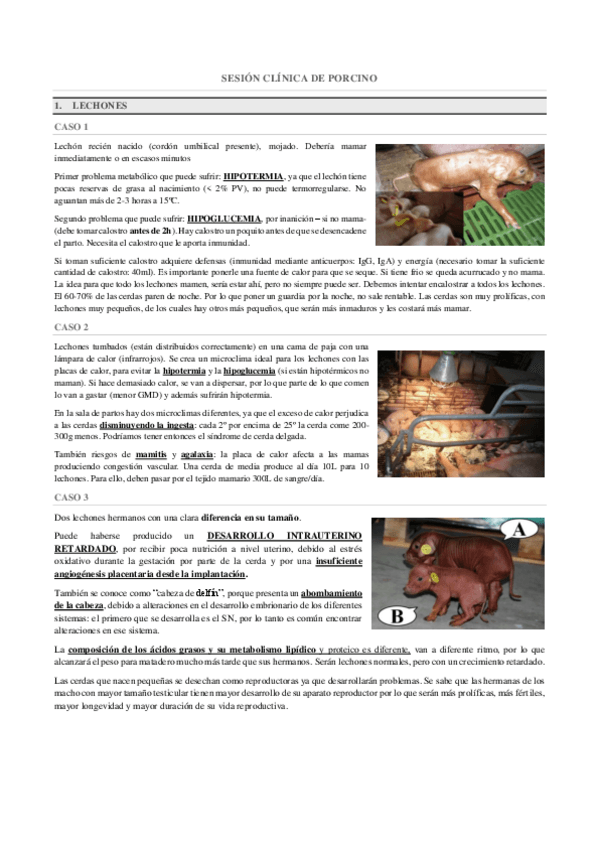 Miniatura del documento SESIONES-CLINICAS.-PORCINO.pdf