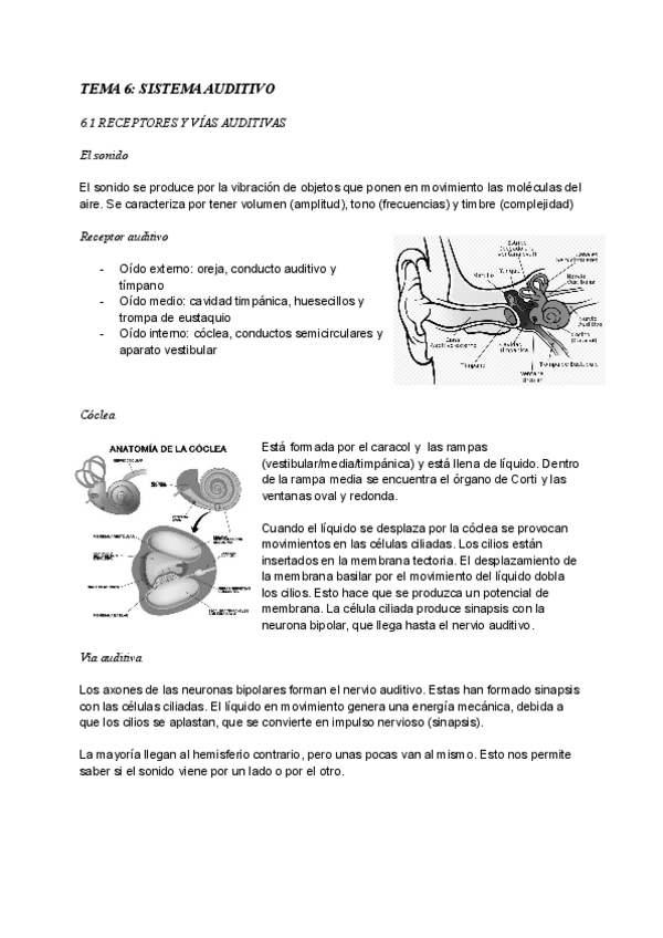 Miniatura del documento TEMA-6-terminado.pdf