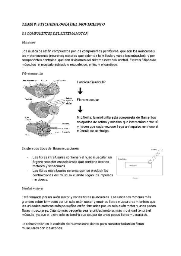 Miniatura del documento TEMA-8-terminado.pdf