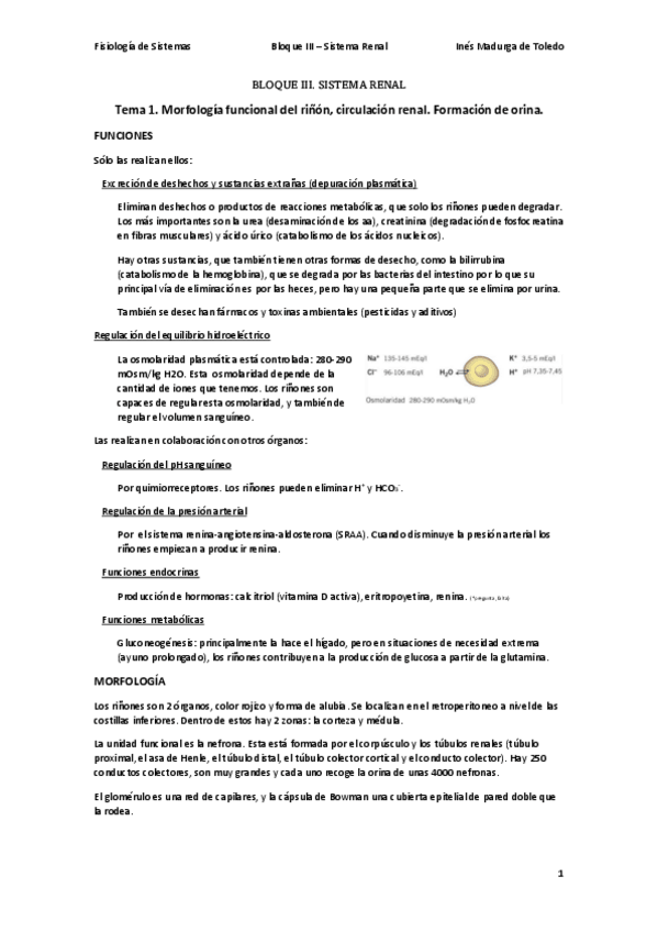 Miniatura del documento FIS-BIII-Renal.pdf