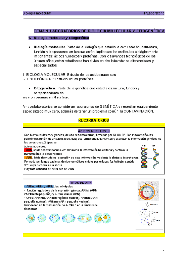 Miniatura del documento BM-1tr.pdf