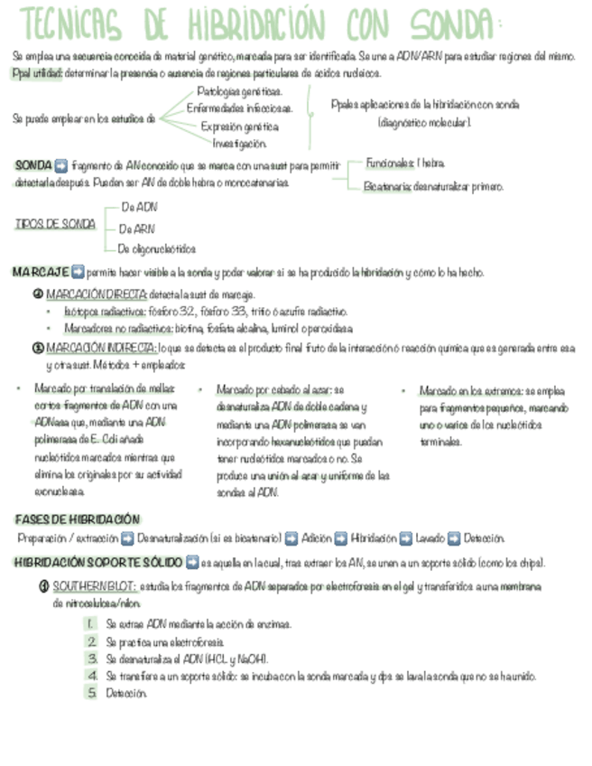 Miniatura del documento TEMA-16-BM.pdf