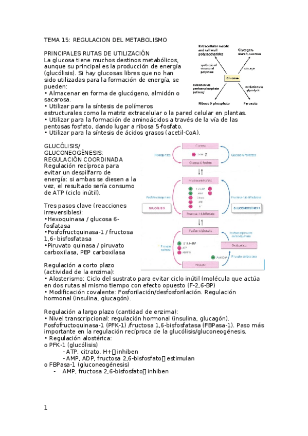Miniatura del documento TEMA-15-18.docx