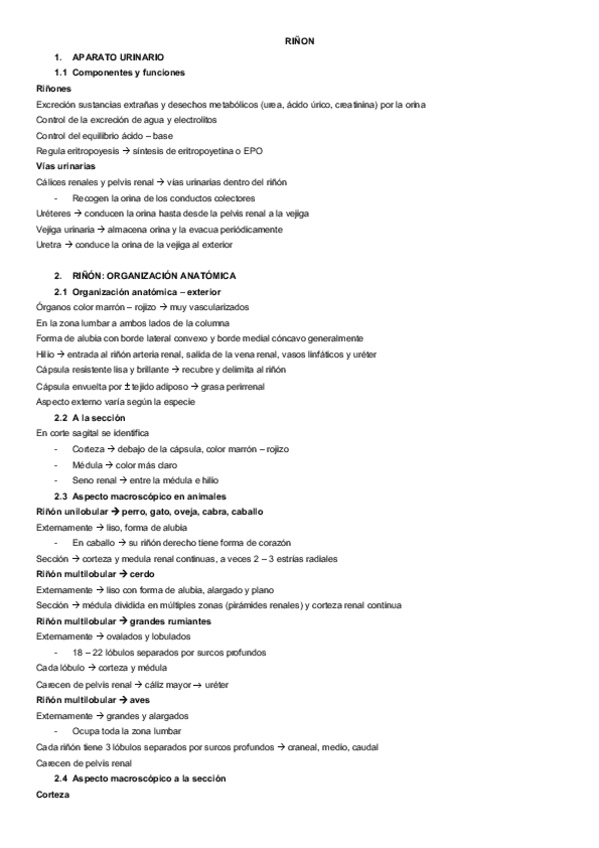 Miniatura del documento Aparato-urinario-completo.pdf