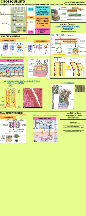 Miniatura del documento relacion-t2-y-t4.pdf