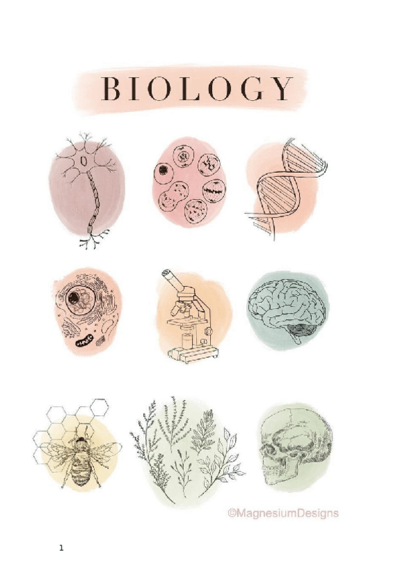 Miniatura del documento apuntes-biologia.docx