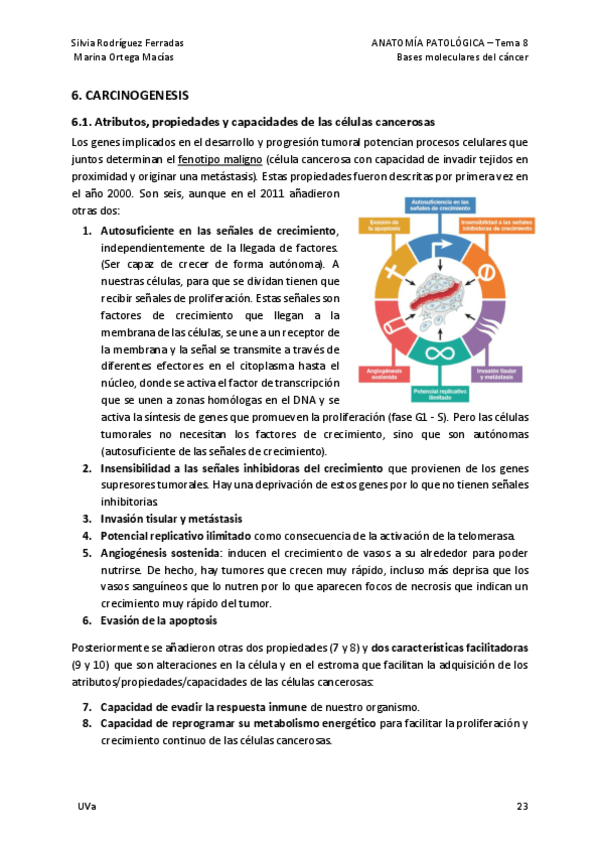 Miniatura del documento 4.-Bases-moleculares-del-cancer-parte-2.pdf