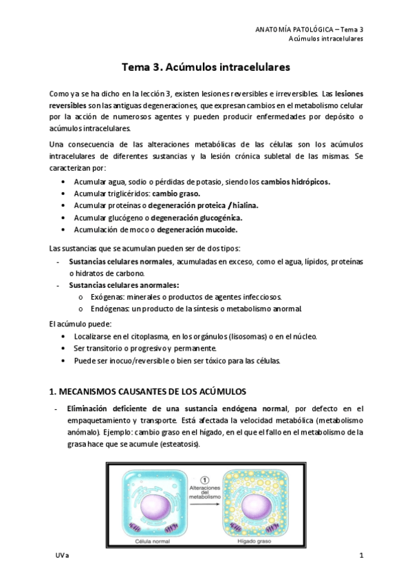 Miniatura del documento 3.-Acumulos-intracelulares.pdf