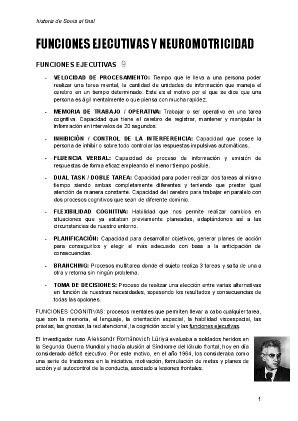 Miniatura del documento Funciones-Ejecutivas-y-Neuromotricidad.pdf
