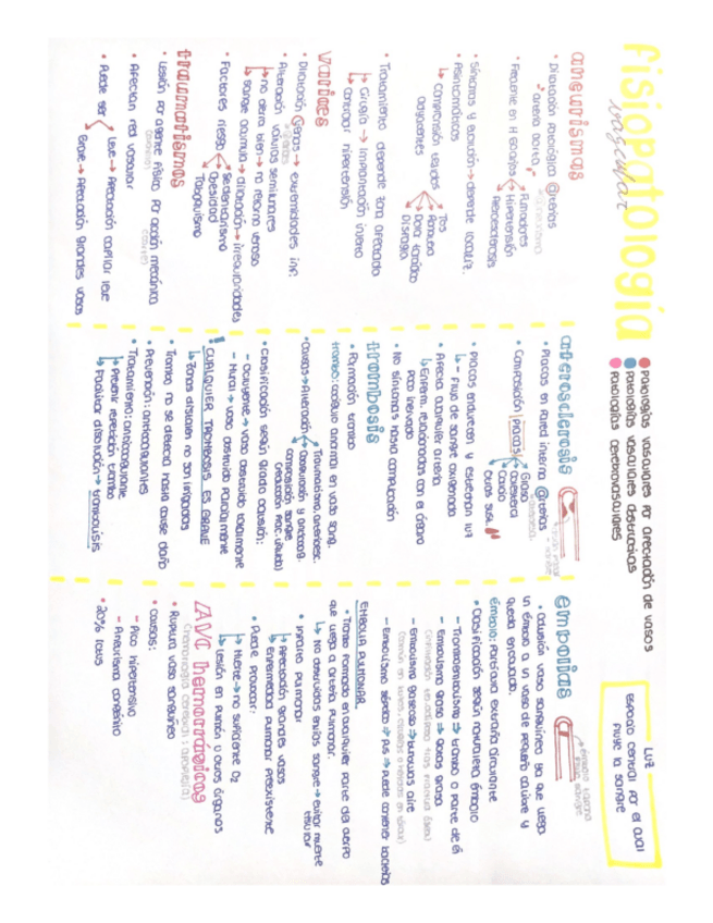 Miniatura del documento Fisiopatologias-circulatorio.pdf