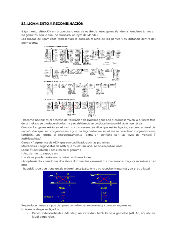 Miniatura del documento 5.-GENETICA-completo.pdf
