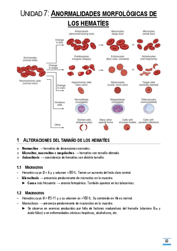 Miniatura del documento Unidad-7.pdf