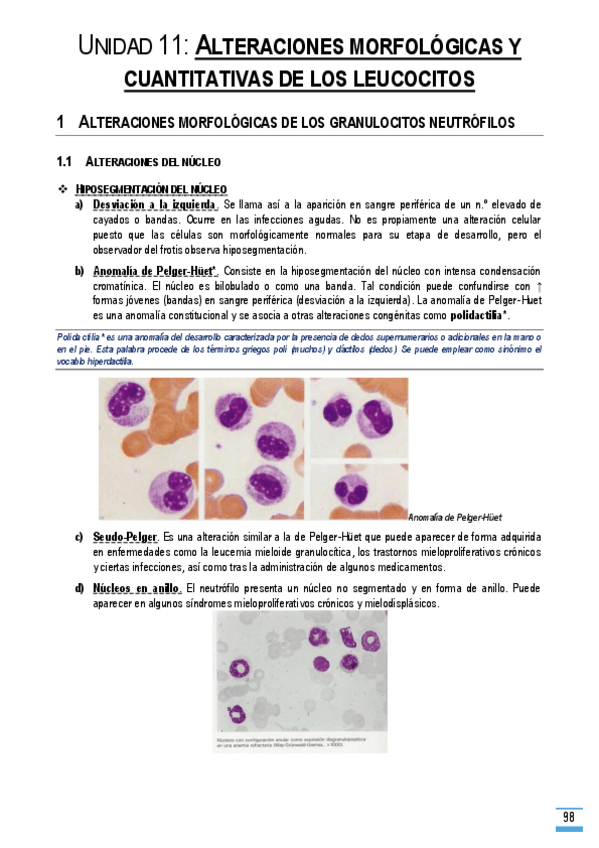Miniatura del documento Unidad-11.pdf