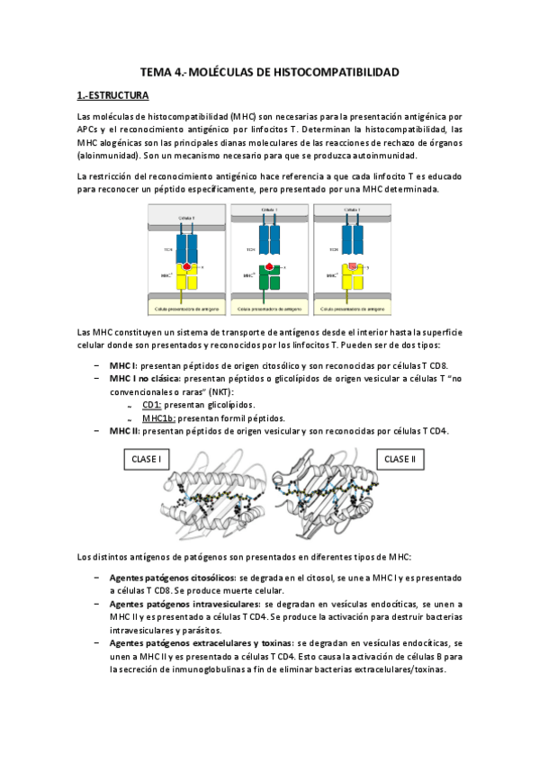 Miniatura del documento Tema 4.-Moléculas de Histocompatibilidad.pdf