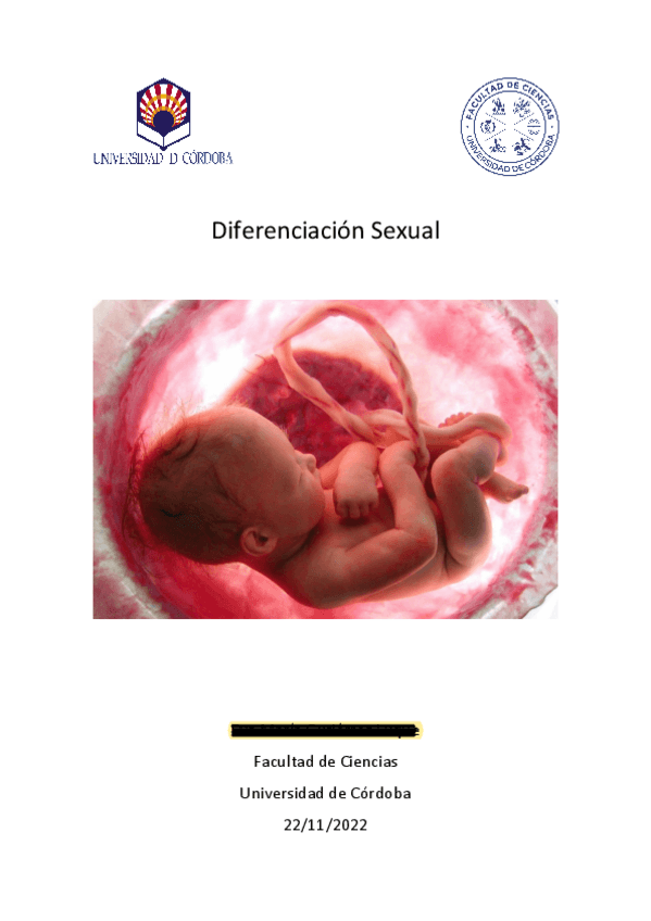 Miniatura del documento Seminario-Diferenciacion-sexual..pdf