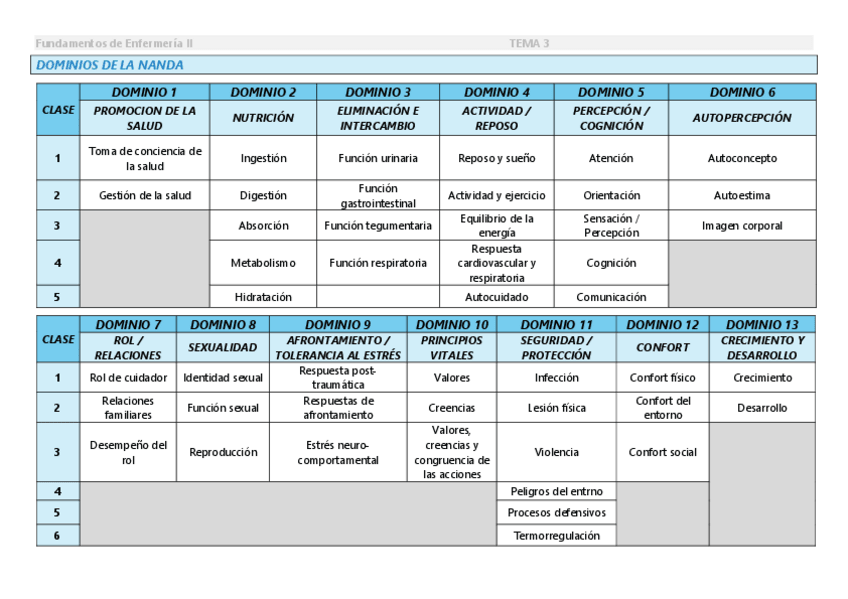 Miniatura del documento T3-NANDA-NOC-NIC-dominios-y-clases.pdf