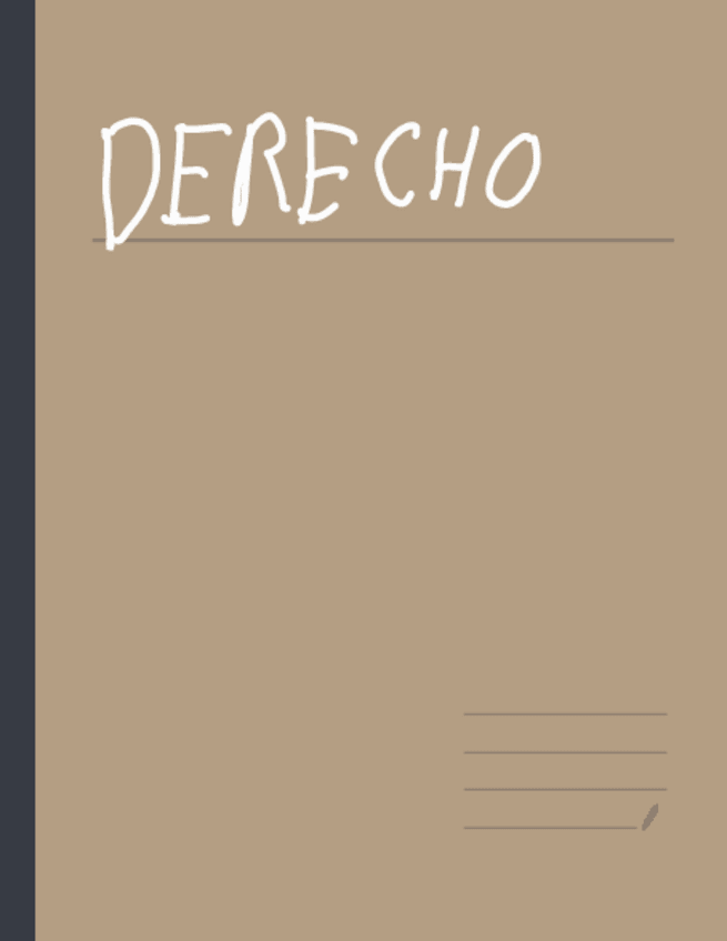 Miniatura del documento Apuntes-Derecho.pdf