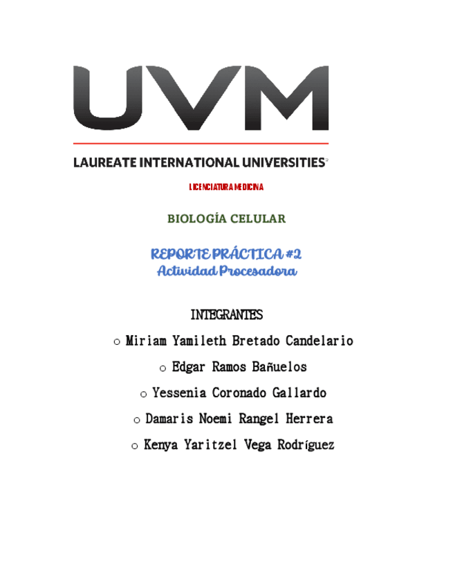 Miniatura del documento actividad-procesadora.pdf