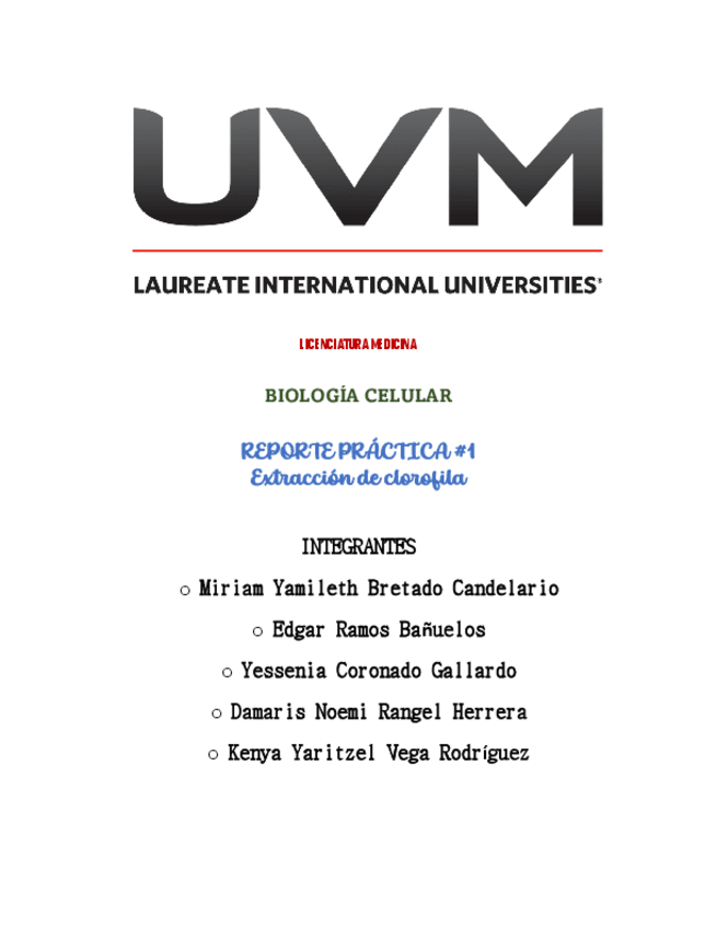 Miniatura del documento reporte-clorofila.pdf