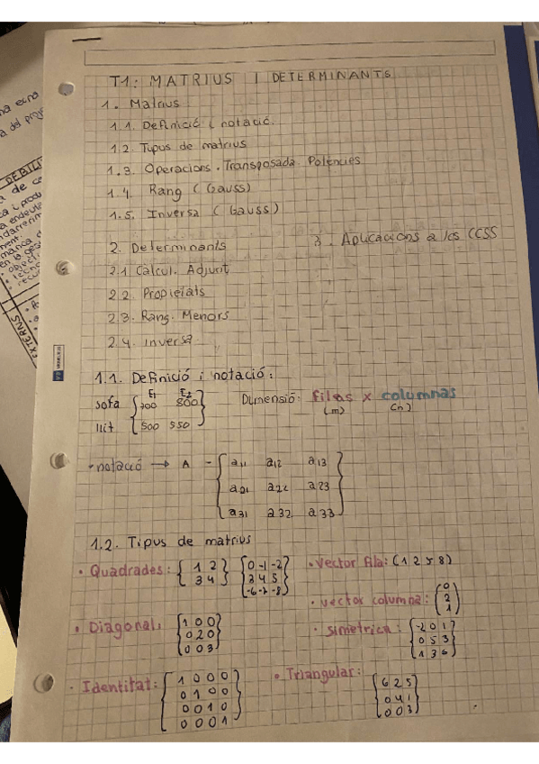 Miniatura del documento Tema-1.-Matrius-i-determinants.pdf