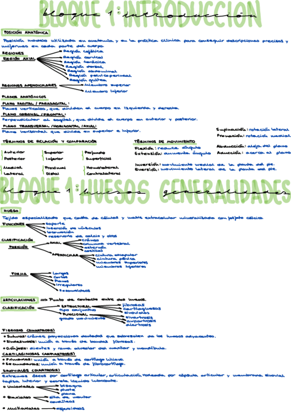 Miniatura del documento Introduccion.pdf