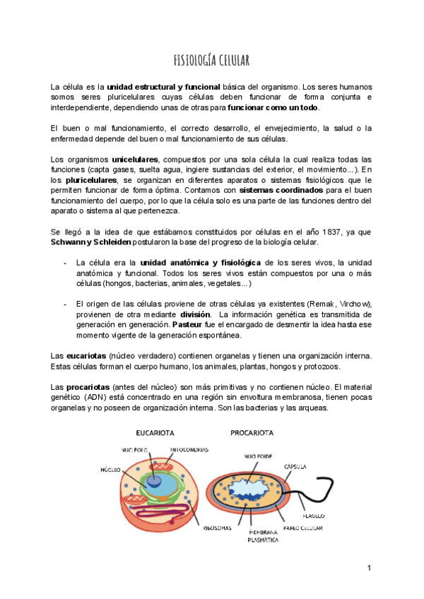 Miniatura del documento Fisiologia-celular.pdf