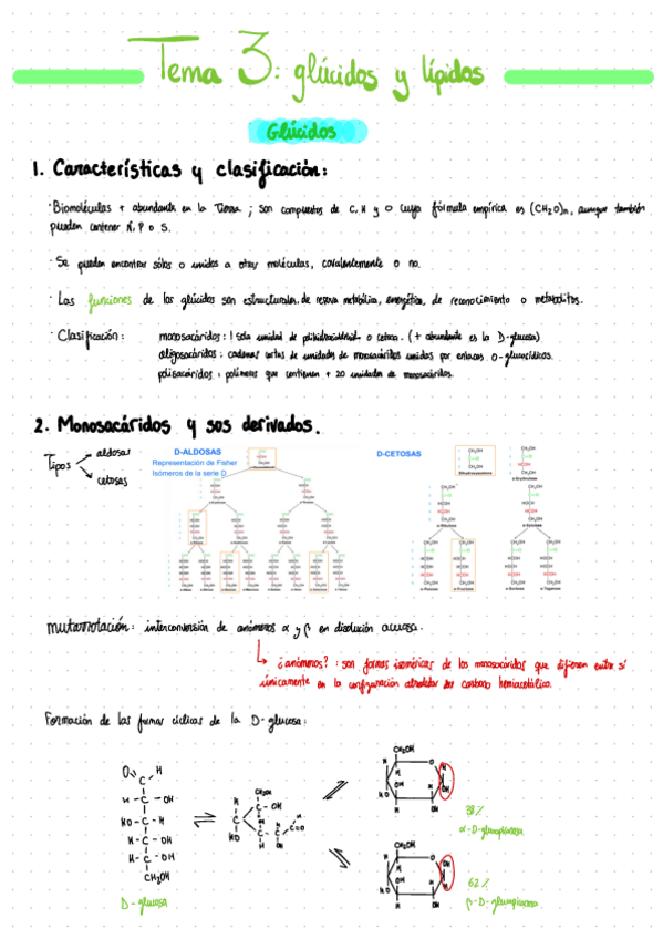 Miniatura del documento Tema-3-Glucidos-Y-Lipidos.pdf