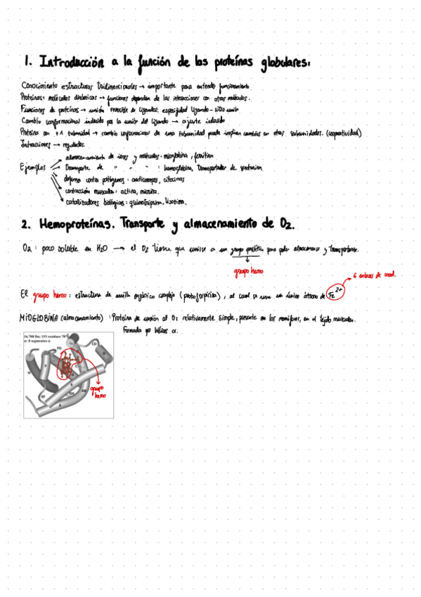 Miniatura del documento Tema-6-Funcion-De-Las-Proteinas.pdf