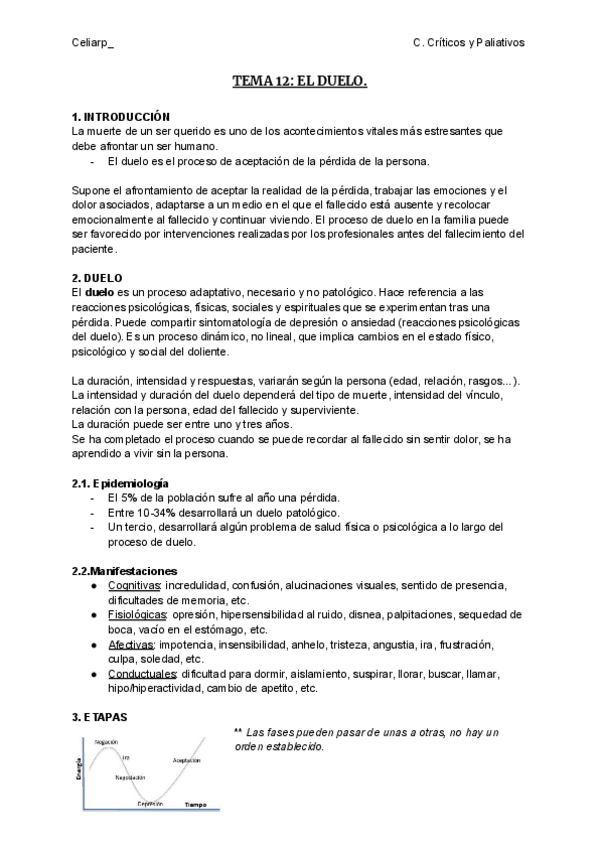 Miniatura del documento TEMA-12-EL-DUELO.pdf