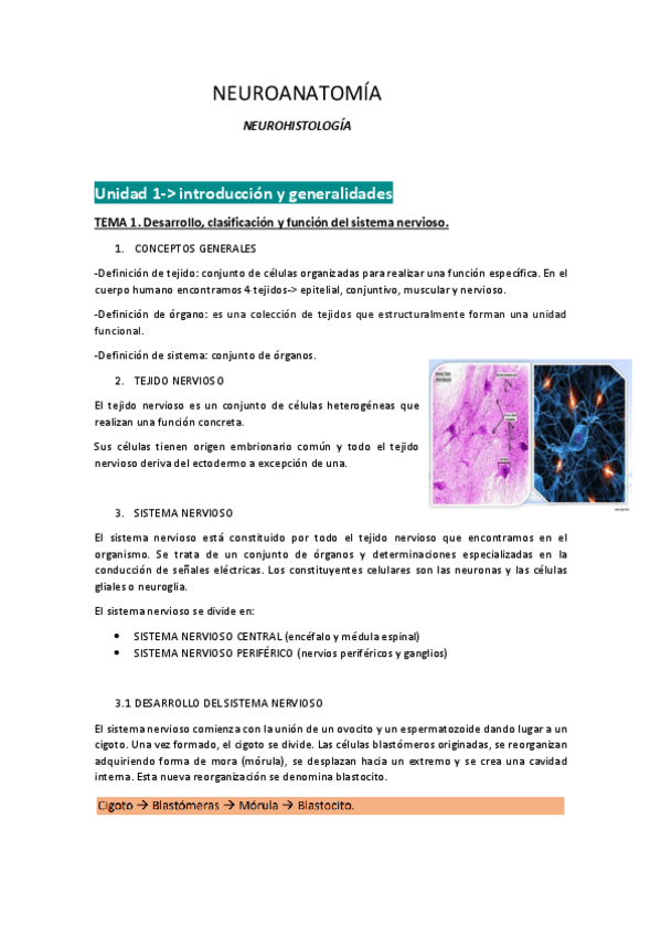 Miniatura del documento NEUROHISTOLOGIA-TEMAS-1-4.pdf