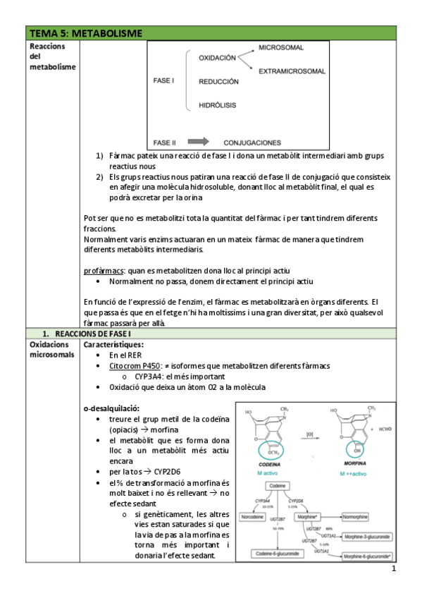 Miniatura del documento FAR-Tema5metabolisme.pdf