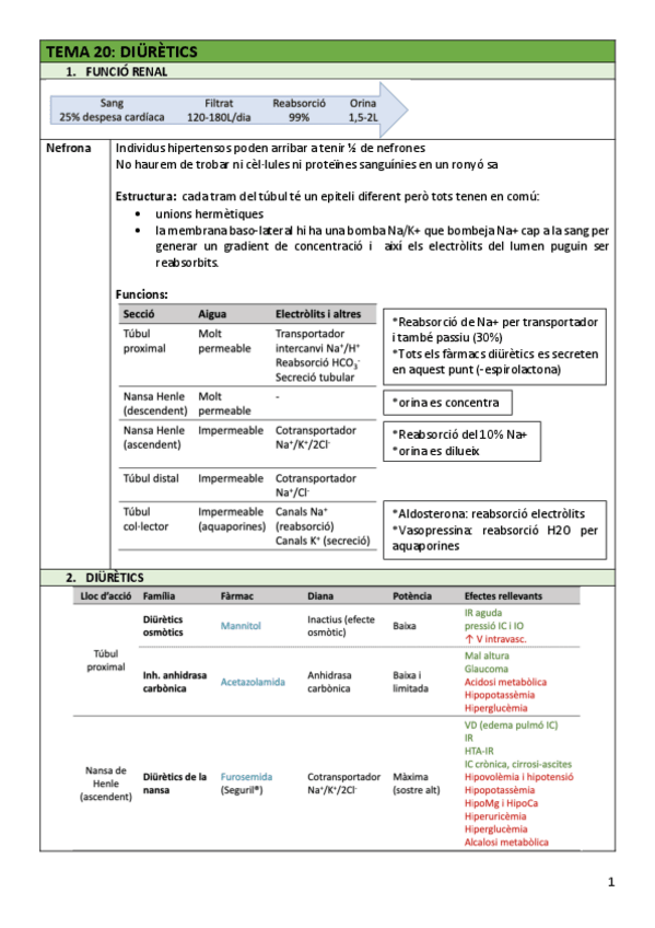 Miniatura del documento FAR-Tema20diuretics.pdf
