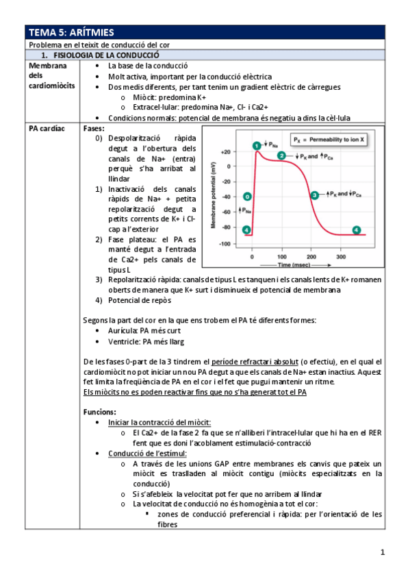 Miniatura del documento FP-Tema5aritmies.pdf