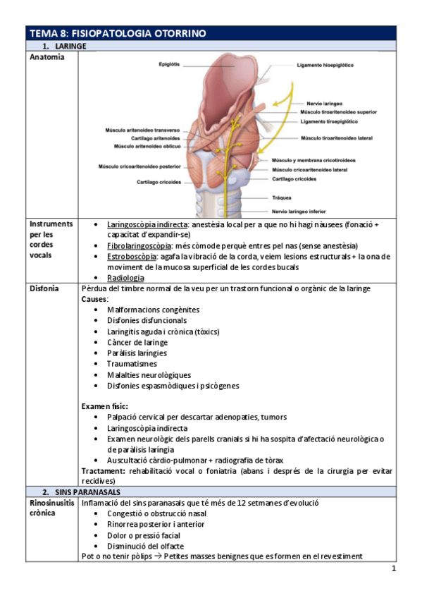 Miniatura del documento FP-Tema8otorrino.pdf