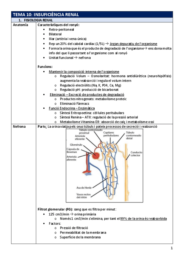 Miniatura del documento FP-Tema10insrenal.pdf