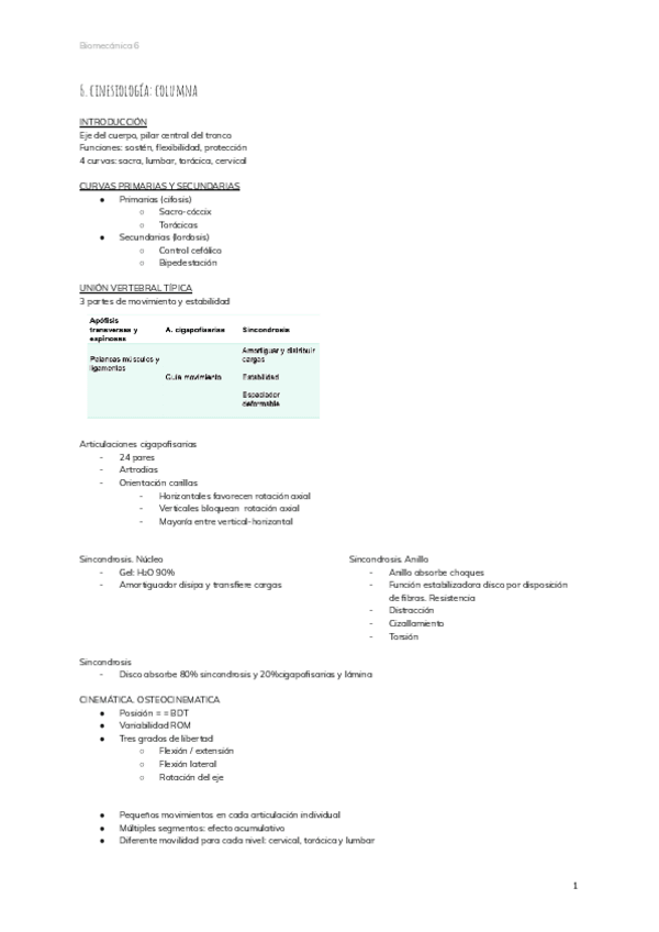 Miniatura del documento 6.cinesiologia-columna.pdf