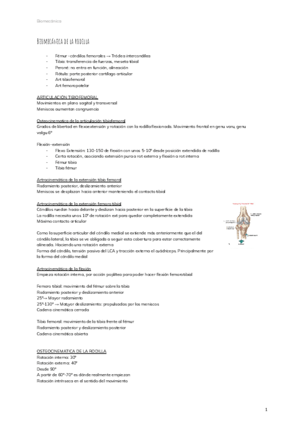 Miniatura del documento Biomecanica-de-la-rodilla-3.pdf